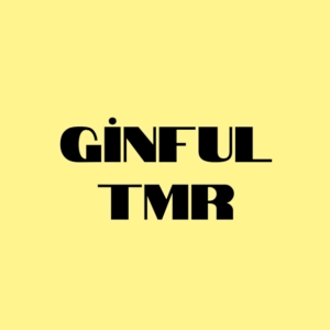 GİNFUL TMR ANALOG SENSÖR
